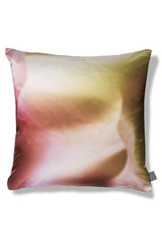 Pillows and Cushions