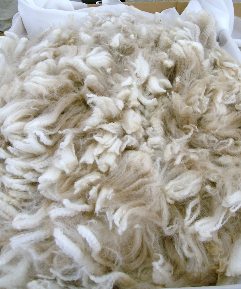 All About Alpaca Wool: Benefits, Care, and More