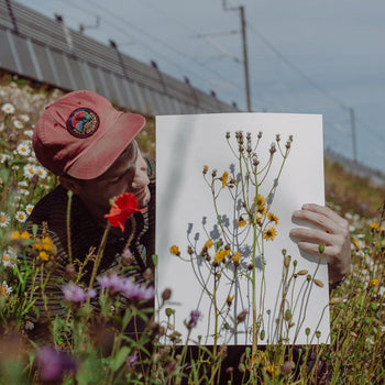 feature-row__image
